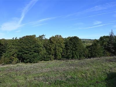 Picture 20